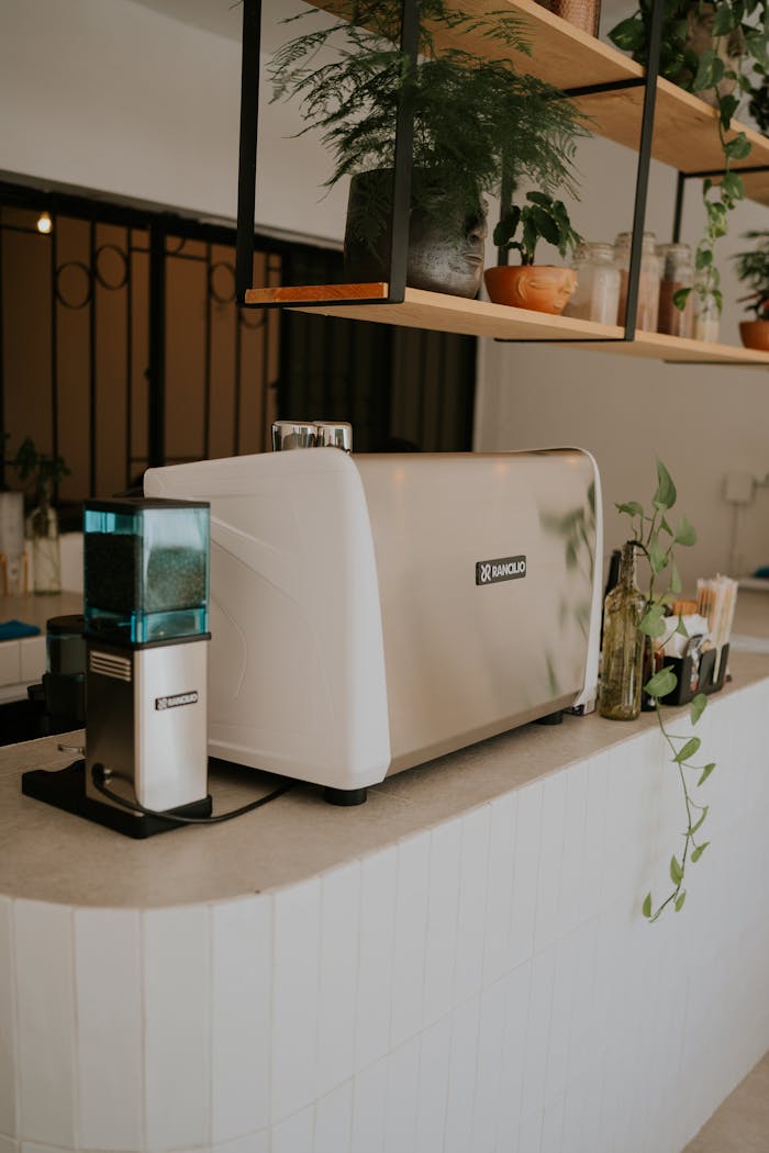 Contemporary café interior featuring an espresso machine on a stylish counter.